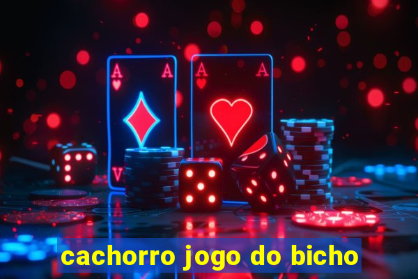 cachorro jogo do bicho